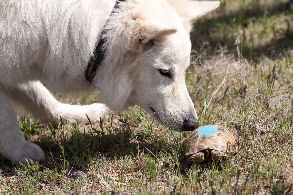 Всё полезно, что в рот полезло