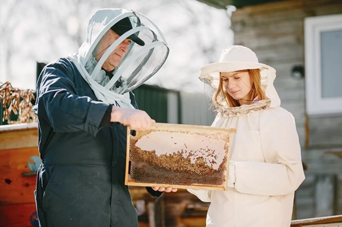    Россельхознадзор усиливает в Башкирии борьбу с нелегальной перевозкой пчел