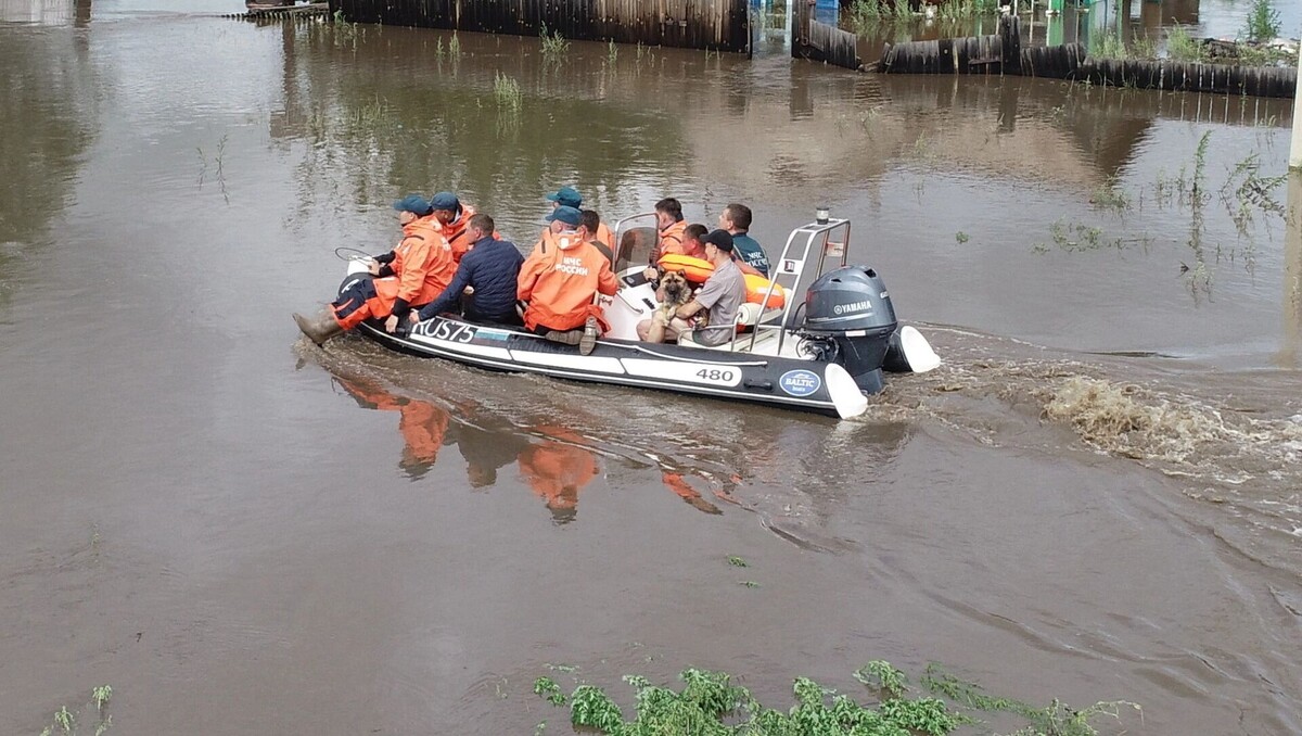     Автор: 75.mchs.gov.ru