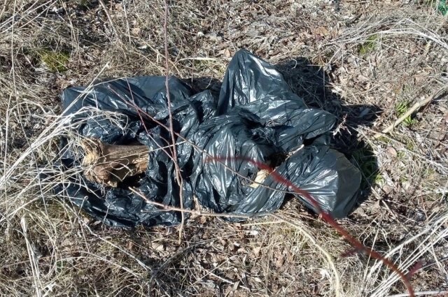    Фото:  Типичный Тобольск! 