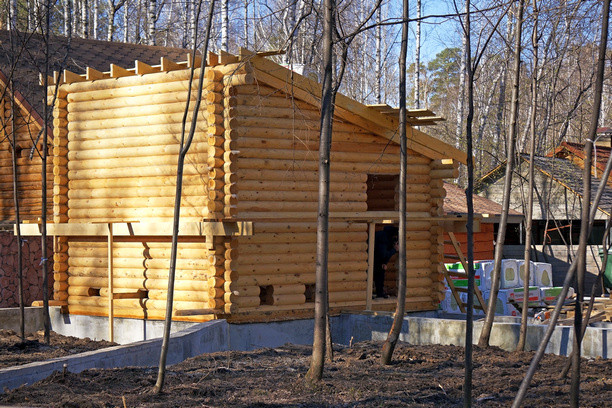 Строится новый вольер для речных выдр.