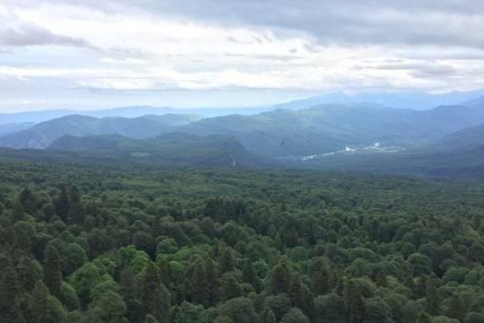 В этом году внутренний турпоток, как ожидается, превысит 100 млн