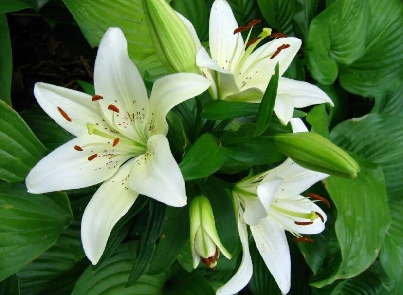 Фото из открытых источников