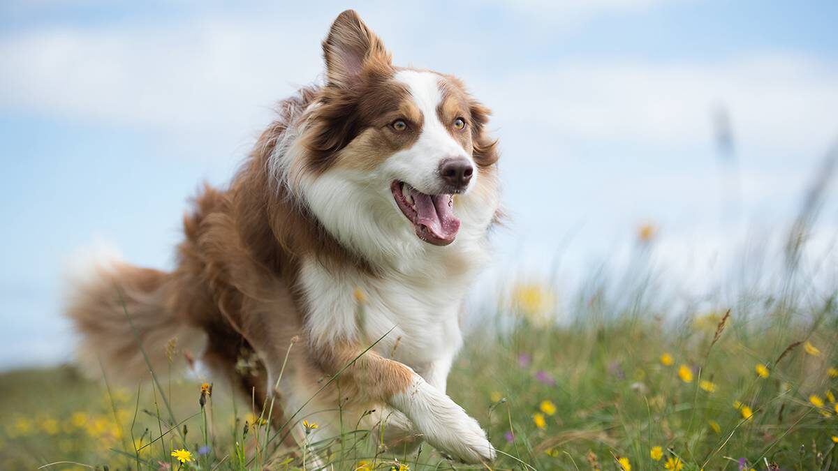    Фото: Shutterstock