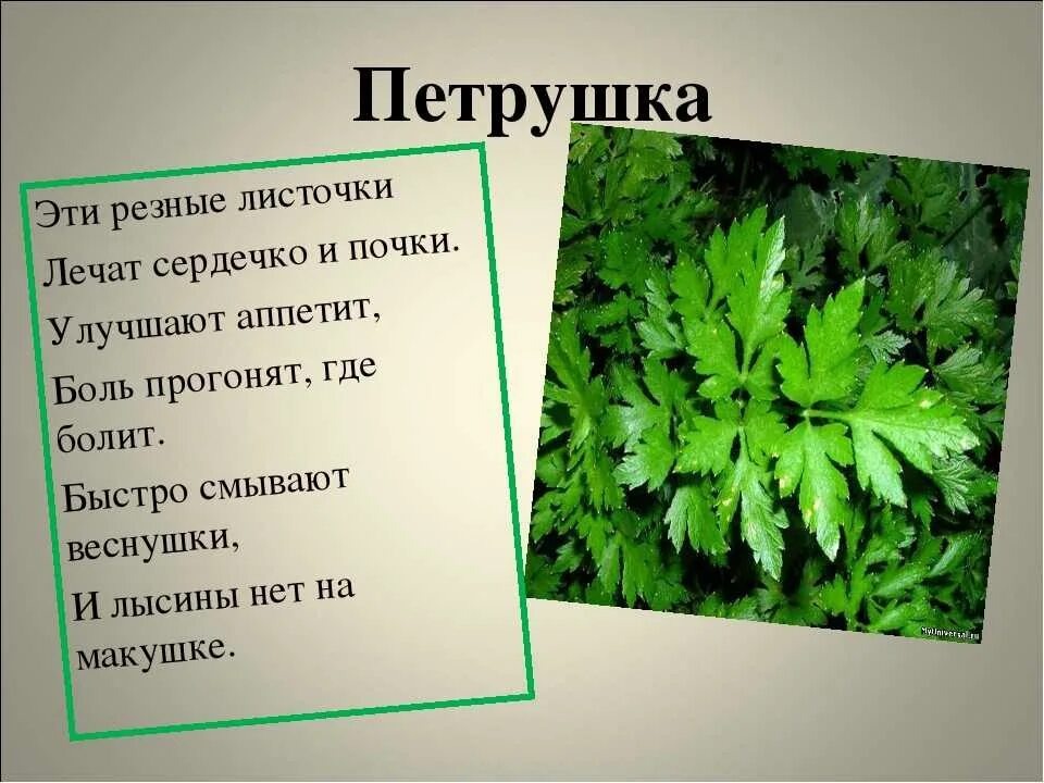 Яндекс картинки.