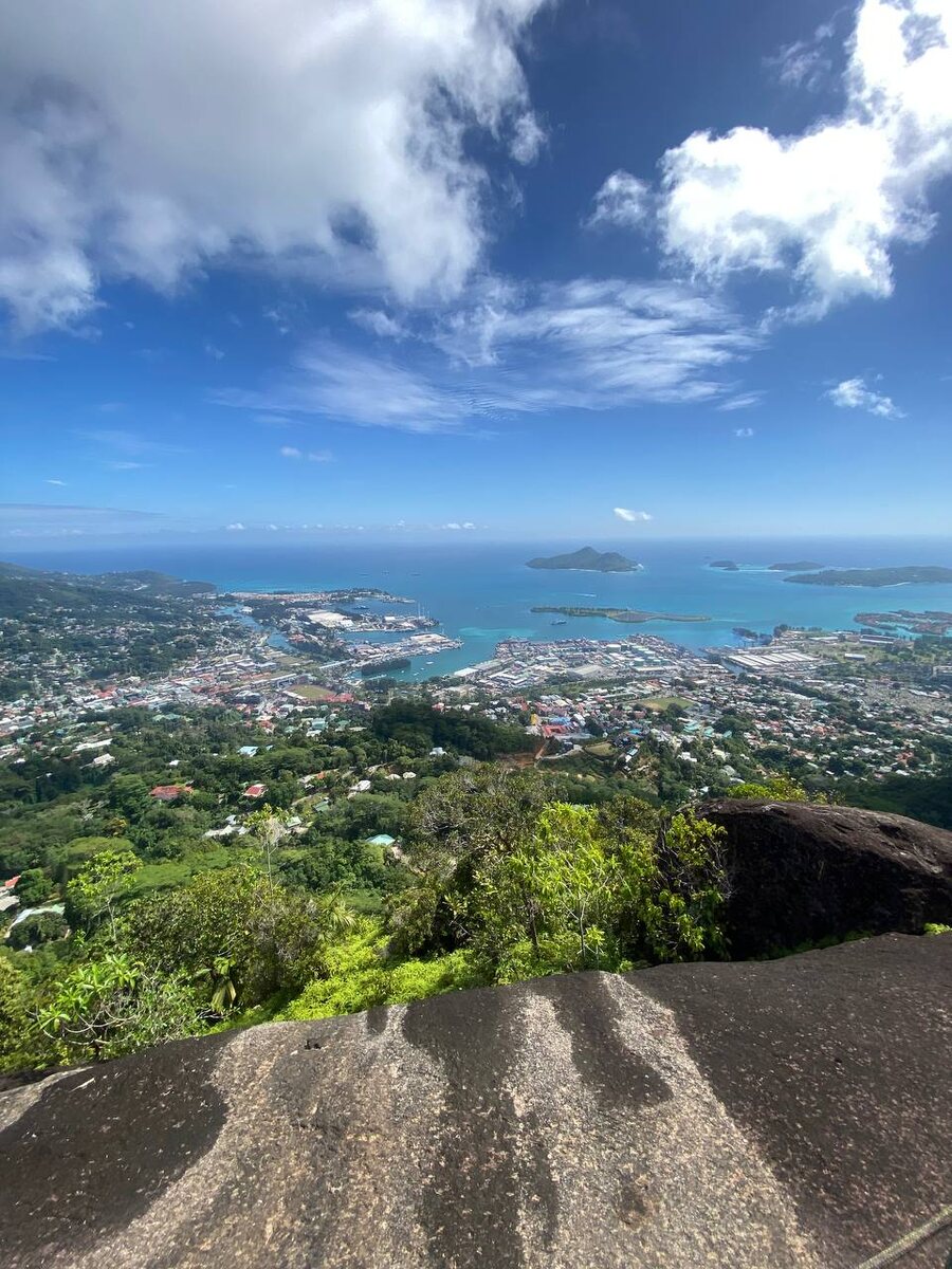 Екатерина Горшкова