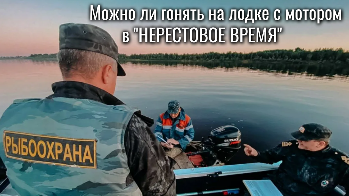 Рыбохрана в нерестовое время не дремлет