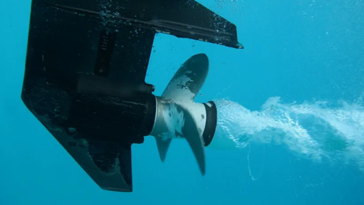 Работа винта лодочного мотора нарушай нерестовую экосистему