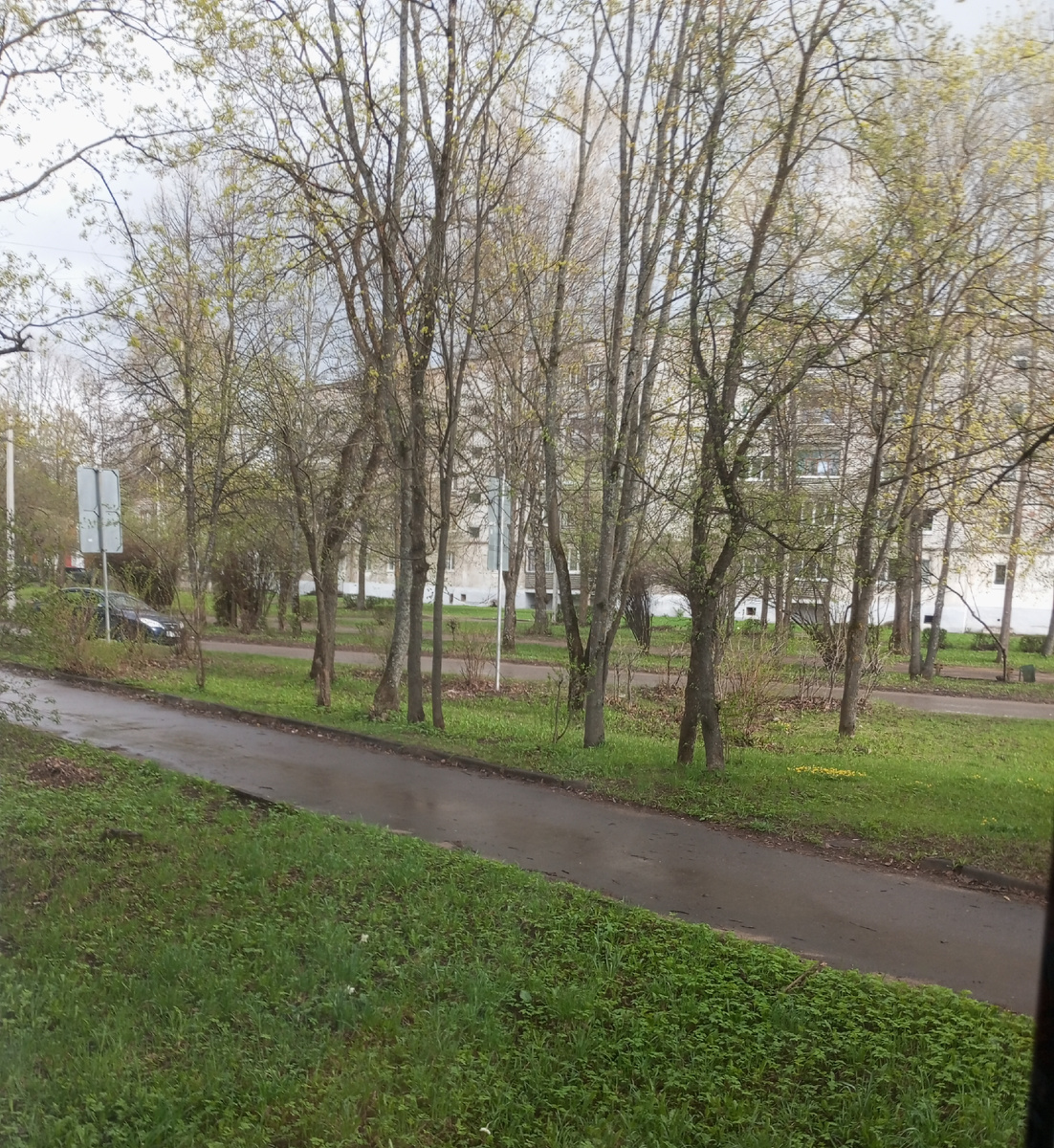 Фото автора. 