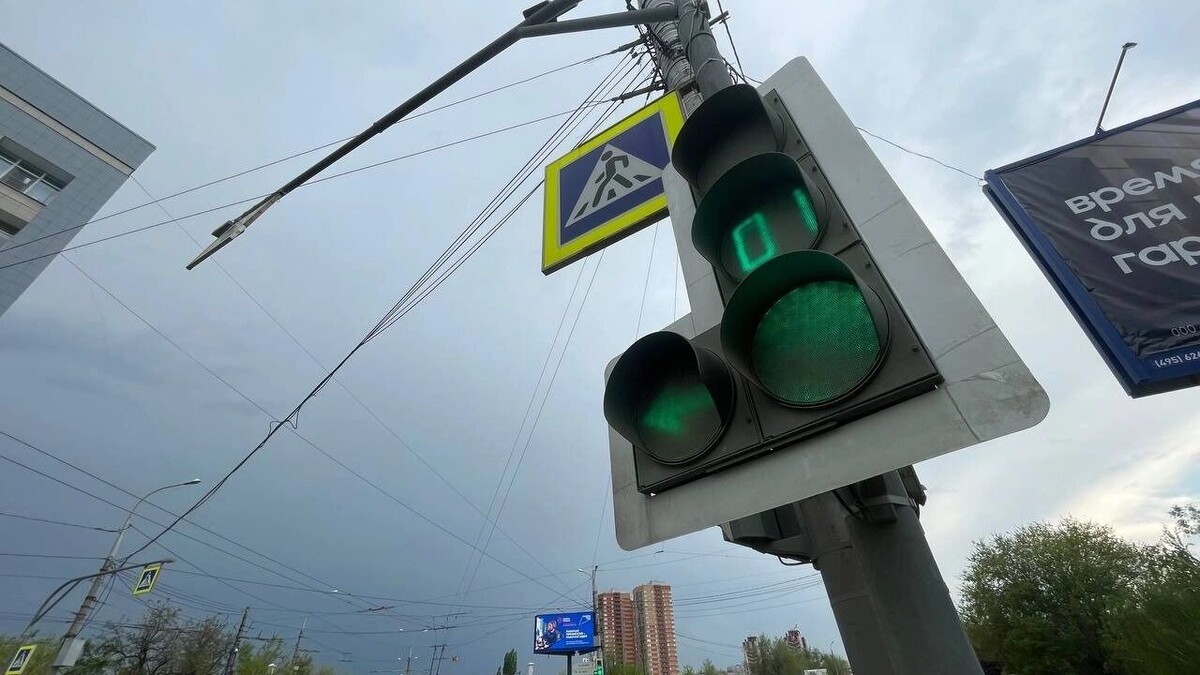     Автор: Антон Засимов Источник: novostivolgograda.ru