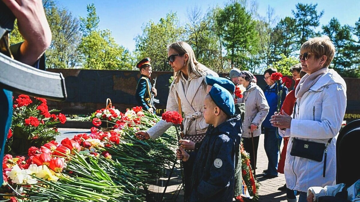     Источник: 1MI