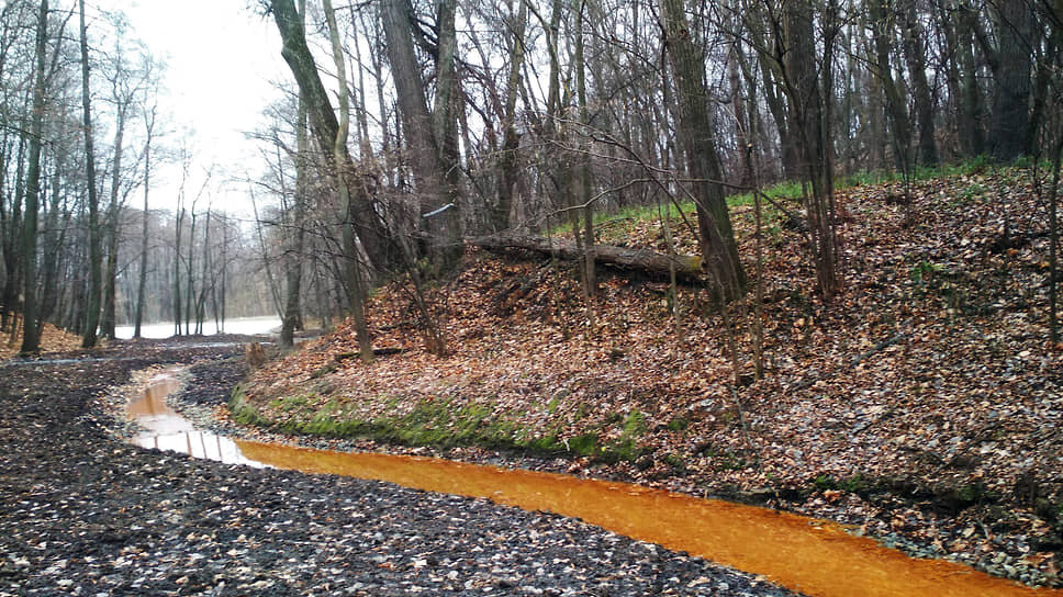 Фото: Дмитрий Тарасов
