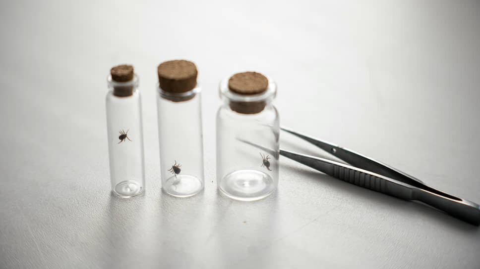 Фото: Мария Бакланова / Коммерсантъ