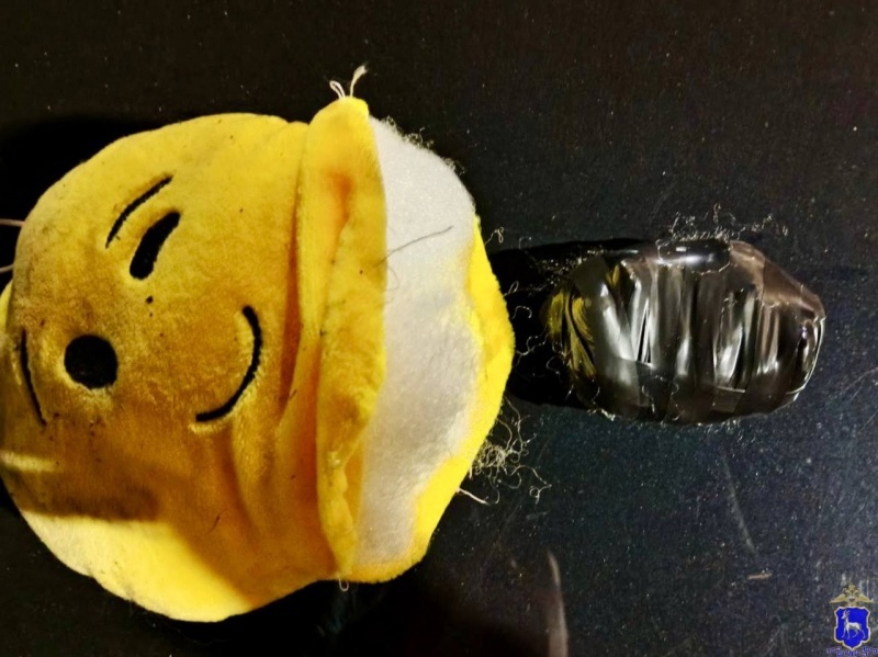    Фото ГУ МВД по Самарской области