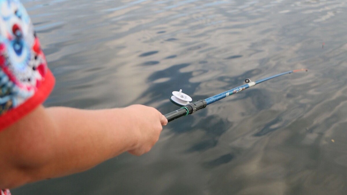     Источник: 1MI