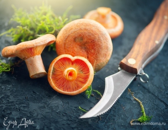 Рыжик — съедобный гриб: где собирать и что можно готовить