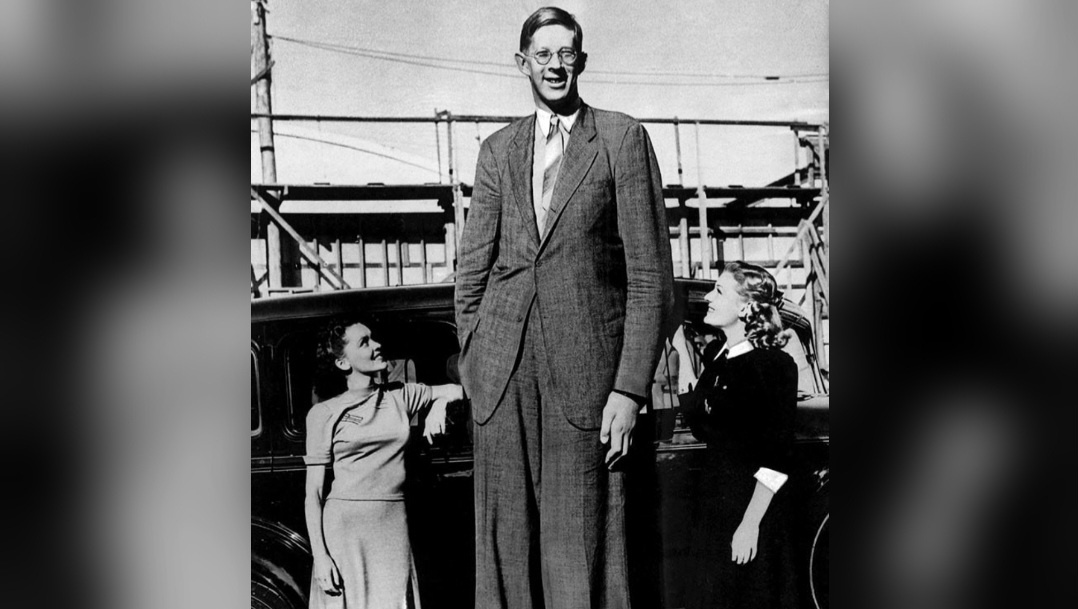 Роберт Уодлоу — самый высокий человек в истории 