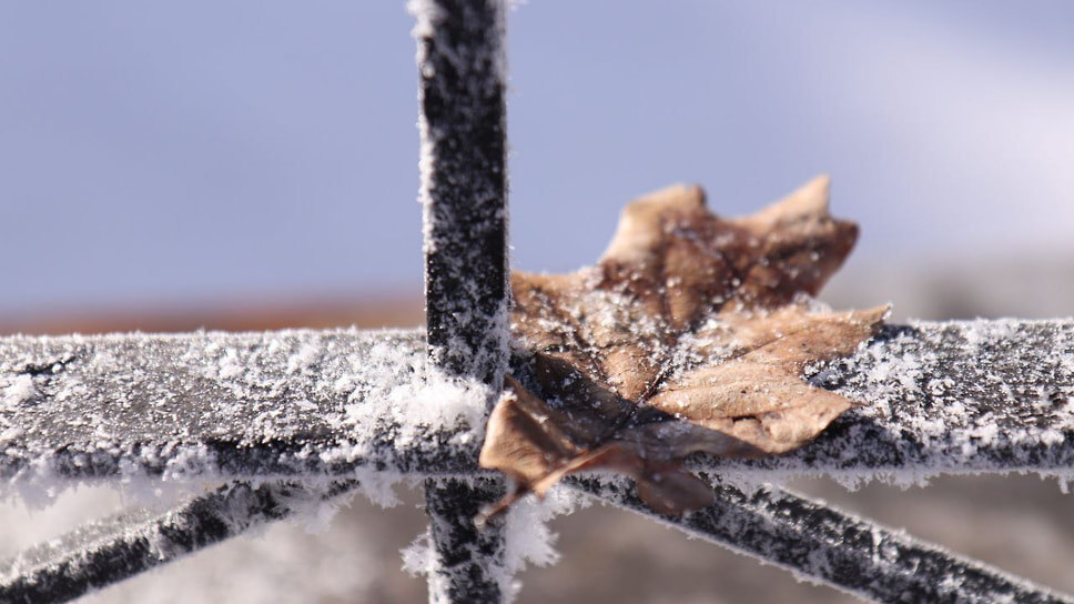 Фото: Зоя Голицына