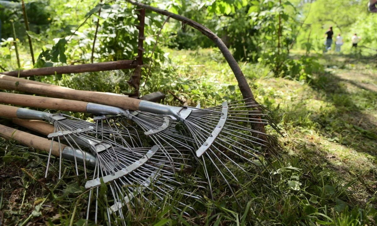    Фото Александр Райко