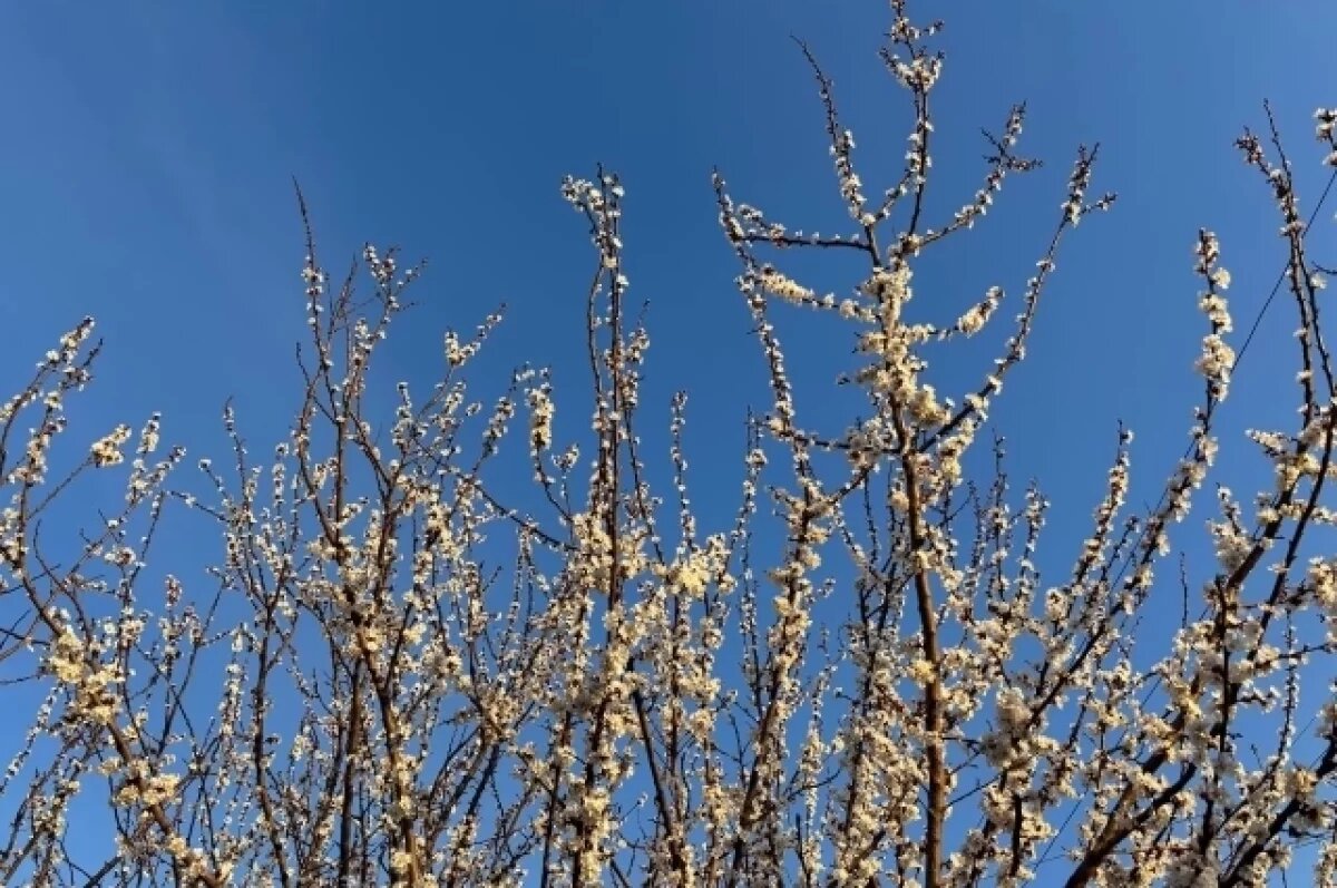    Похолодание и дожди обещают воронежские синоптики в выходные