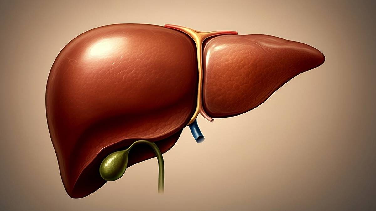    Фото: Shutterstock