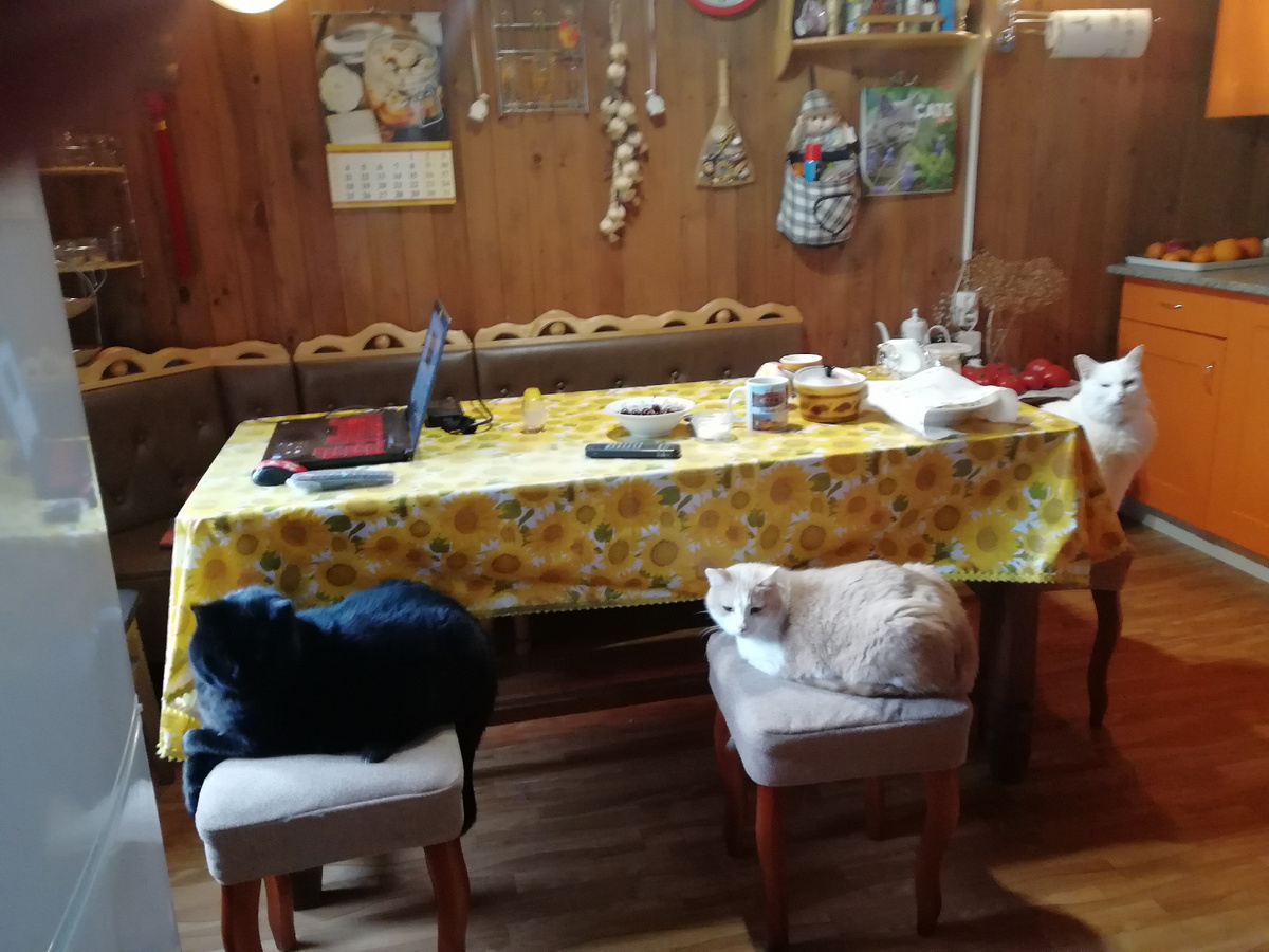 Мурзила, Вася и Пломбир