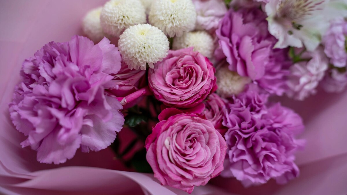    Фото: Сергей Зубков/«Ямал-Медиа»