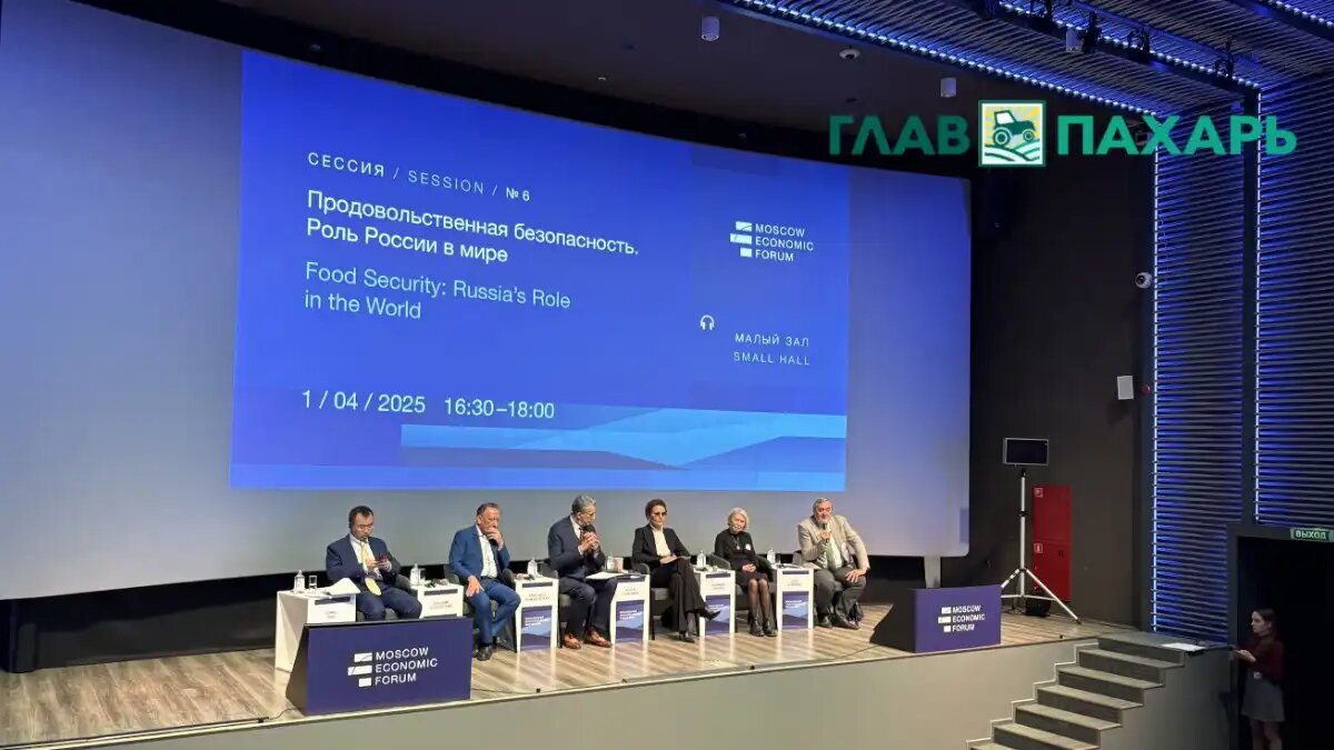 Фото: © Владимир Исаенко / Glavpahar.ru
Аркадий Злочевский выступил на сессии МЭФ «Продовольственная безопасность. Роль России в мире»