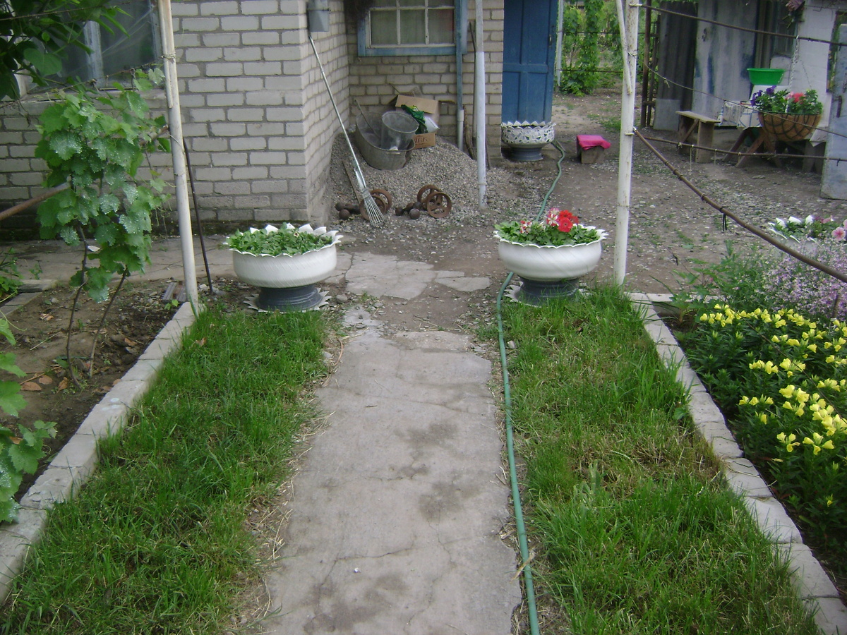 И меня не миновали покрышки, да. Потому и не фыркаю на чужие сады, ни на какие. Сад - он хозяину в радость должен быть, а не мимопрохожим.