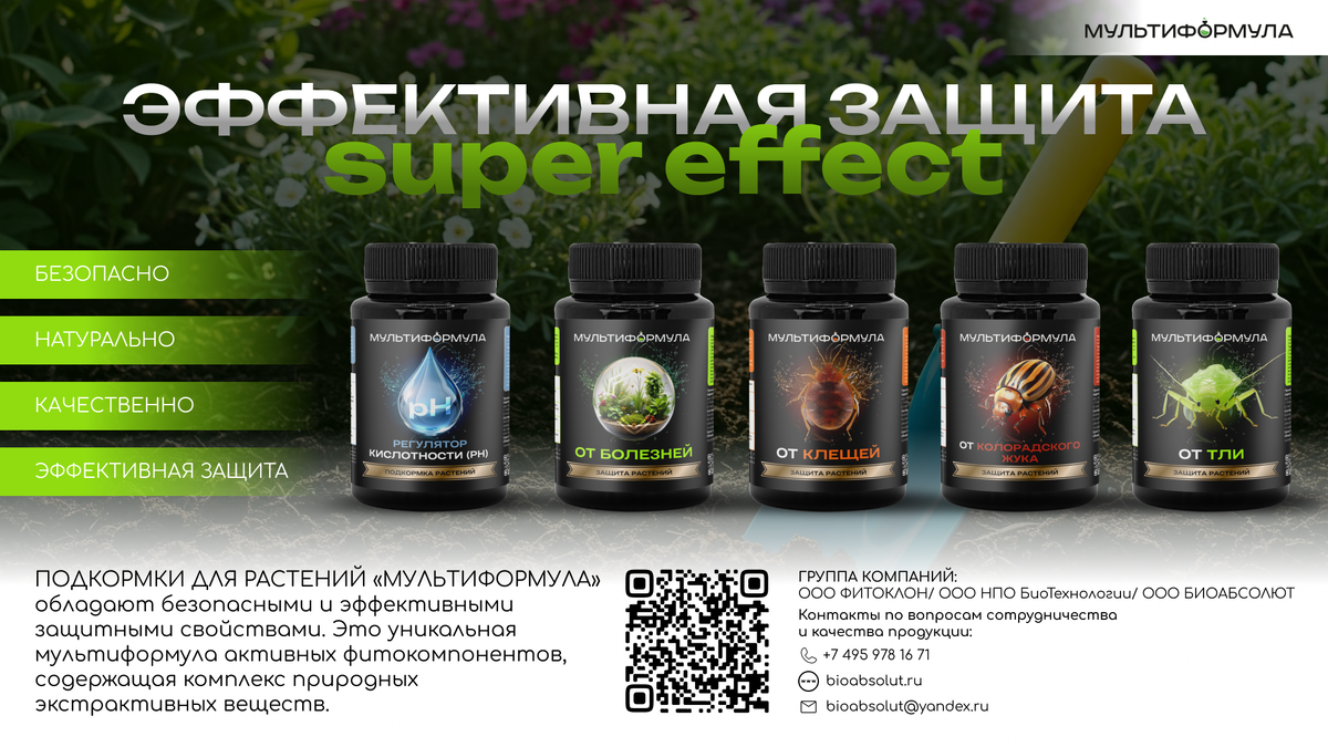 Линейка ЭФФЕКТИВНАЯ ЗАЩИТА super effect
ПОДКОРМКИ ДЛЯ РАСТЕНИЙ «МУЛЬТИФОРМУЛА» обладают безопасными и эффективными защитными свойствами. Это уникальная мультиформула активных фитокомпонентов, содержащая комплекс природных экстрактивных веществ, усиленный полезными функциональными бактериями.
• защита от болезней (всех видов грибных и бактериальных);
• защита от тли;
• защита от паутинного клеща;
• защита от колорадского жука;
• защита от клещей (галловые, бурые, почковые смородинные и др.)
БЕЗОПАСНО, НАТУРАЛЬНО, КАЧЕСТВЕННО, ЭФФЕКТИВНАЯ ЗАЩИТА, НЕ ВЫЗЫВАЮТ ПРИВЫКАНИЯ
Эти подкормки, созданные на основе последних научных достижений, обеспечивают растениям надежный щит от болезней, вредителей и стрессовых факторов окружающей среды. «МУЛЬТИФОРМУЛА» – это не просто удобрение, это комплексная система защиты, разработанная для поддержания здоровья и жизненной силы растений на протяжении всего их жизненного цикла.
Секрет эффективности «МУЛЬТИФОРМУЛЫ» заключается в синергетическом действии входящих в ее состав компонентов. Природные экстракты трав и растений, богатые фитоалексинами, флавоноидами и другими биологически активными веществами, активизируют естественные защитные механизмы растений, повышая их устойчивость к патогенам и неблагоприятным условиям. Микроэлементы в хелатной форме обеспечивают оптимальное питание, необходимое для поддержания иммунной системы и здорового роста.
«МУЛЬТИФОРМУЛА» действует комплексно: укрепляет клеточные стенки растений, препятствуя проникновению патогенов; стимулирует выработку защитных веществ, нейтрализующих токсины; создает благоприятную микрофлору в корневой зоне, подавляя развитие вредных микроорганизмов. Подкормки «МУЛЬТИФОРМУЛА» легко усваиваются растениями и не оказывают негативного воздействия на окружающую среду.
Применение «МУЛЬТИФОРМУЛЫ» – это простой и надежный способ обеспечить растениям здоровую и продуктивную жизнь. Выбирая подкормки «МУЛЬТИФОРМУЛА», вы выбираете здоровье и процветание для ваших растений! https://bioabsolu