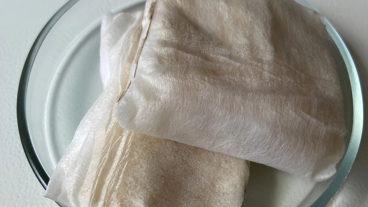     Источник: ВолгГМУ