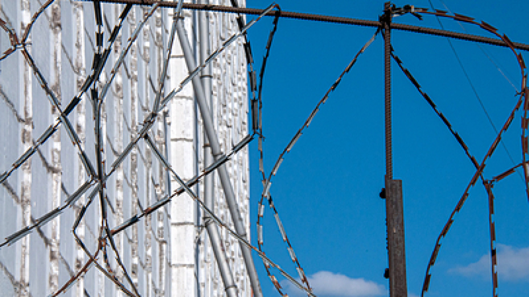    Фото: Svetlana Vozmilova/Globallookpress.