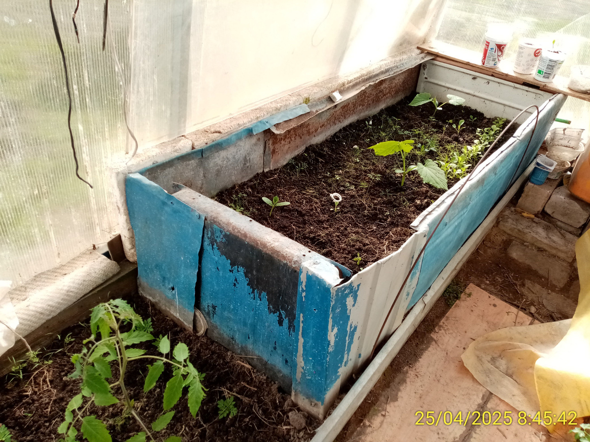 Огуречный короб для раннего урожая.