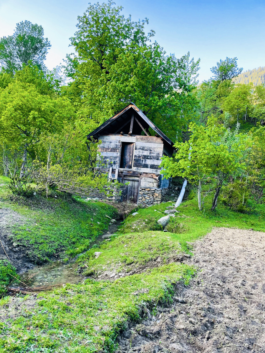 АРИЙ ГРУПП — ваш надежный партнер в легализации недвижимости