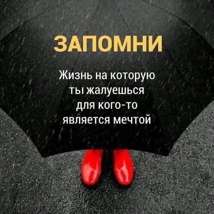 Все тяжелые времена, сколько их ни было в истории, не смогли уничтожить ни весенних цветов, ни любви женщины.
@Дэвид Лоуренс
