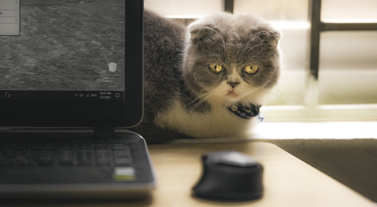 Фотография unsplash