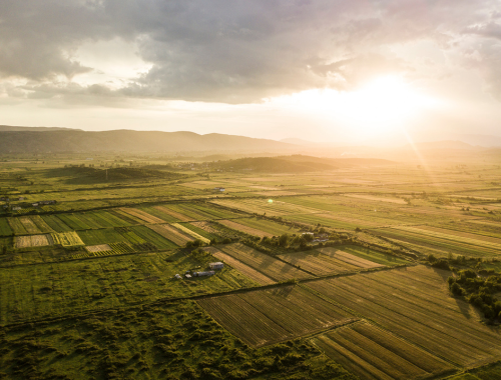 АРИЙ ГРУПП – ваш надежный партнер в оформлении земельных участков