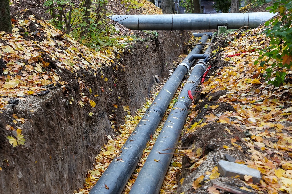    Источник: Алексей Белкин/NEWS.ru/ТАСС