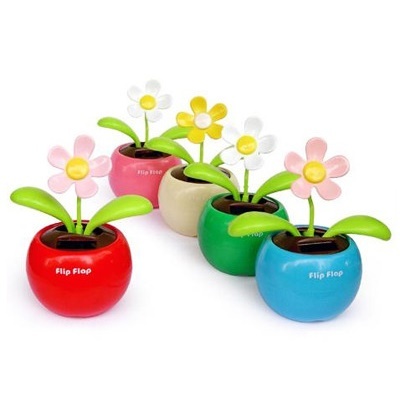 Фото из Интернета.