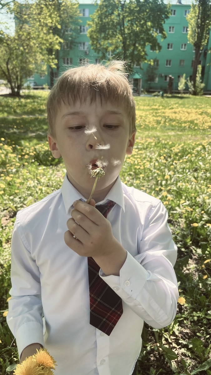 Удачно кадр получился с взлетающими семенами одуванчика 