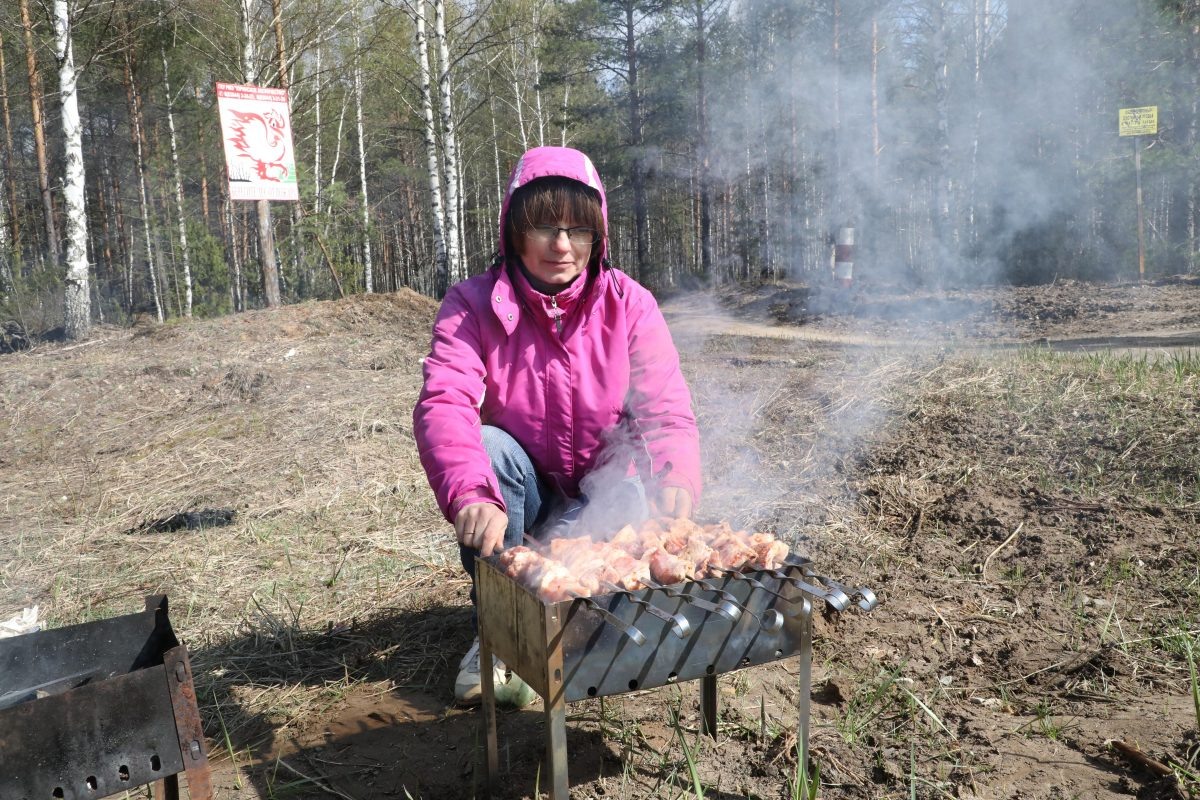    Многие в майские праздники отправятся на шашлыки
