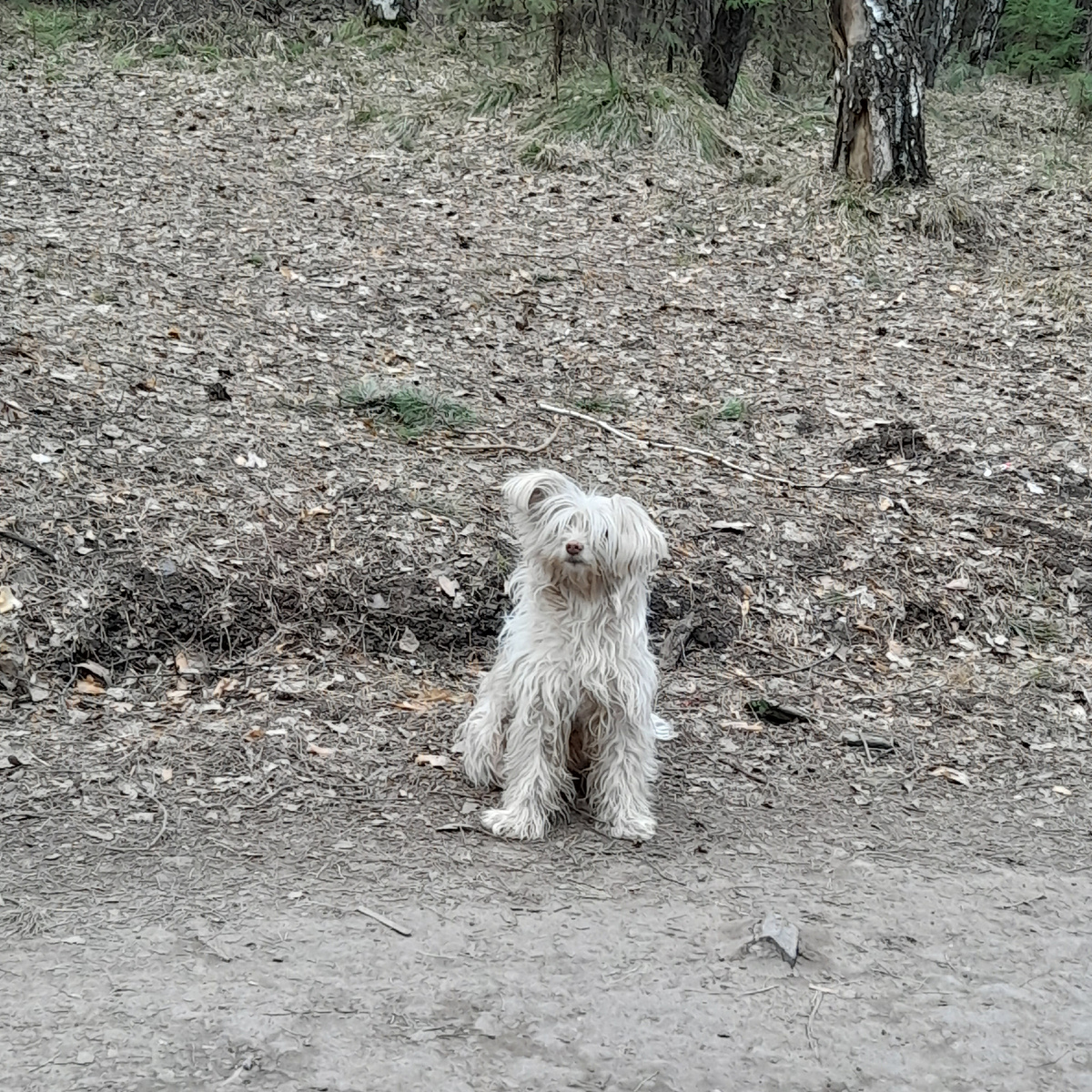 Фото автора. Бросили?