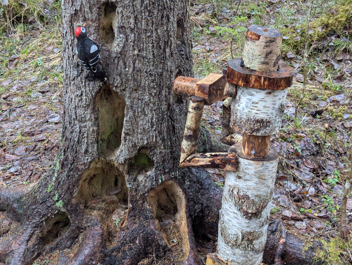 эко-тропа "Трын-трава"