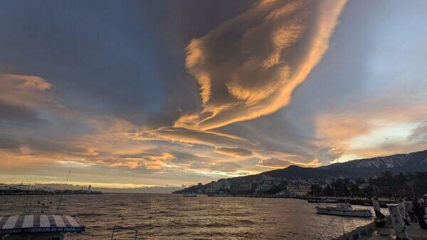    © Telegram-канал главы администрации Ялты Янины Павленко