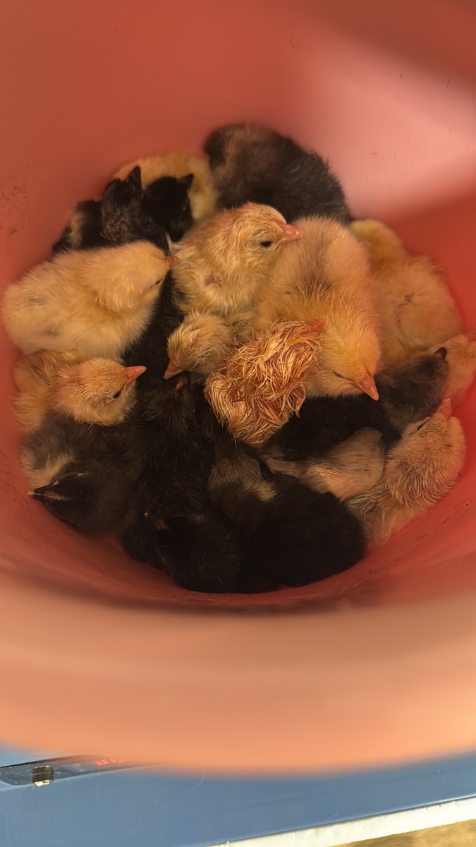 Урожай поспел