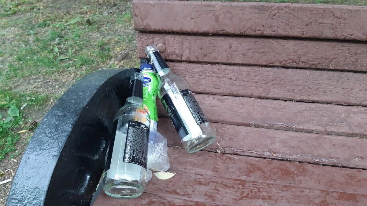     Источник: 1MI