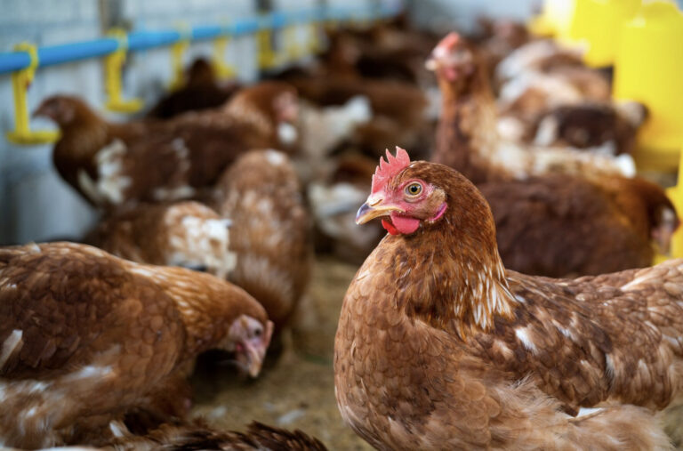    Фото: freepik.com/tawatchai07 Илья Федоров