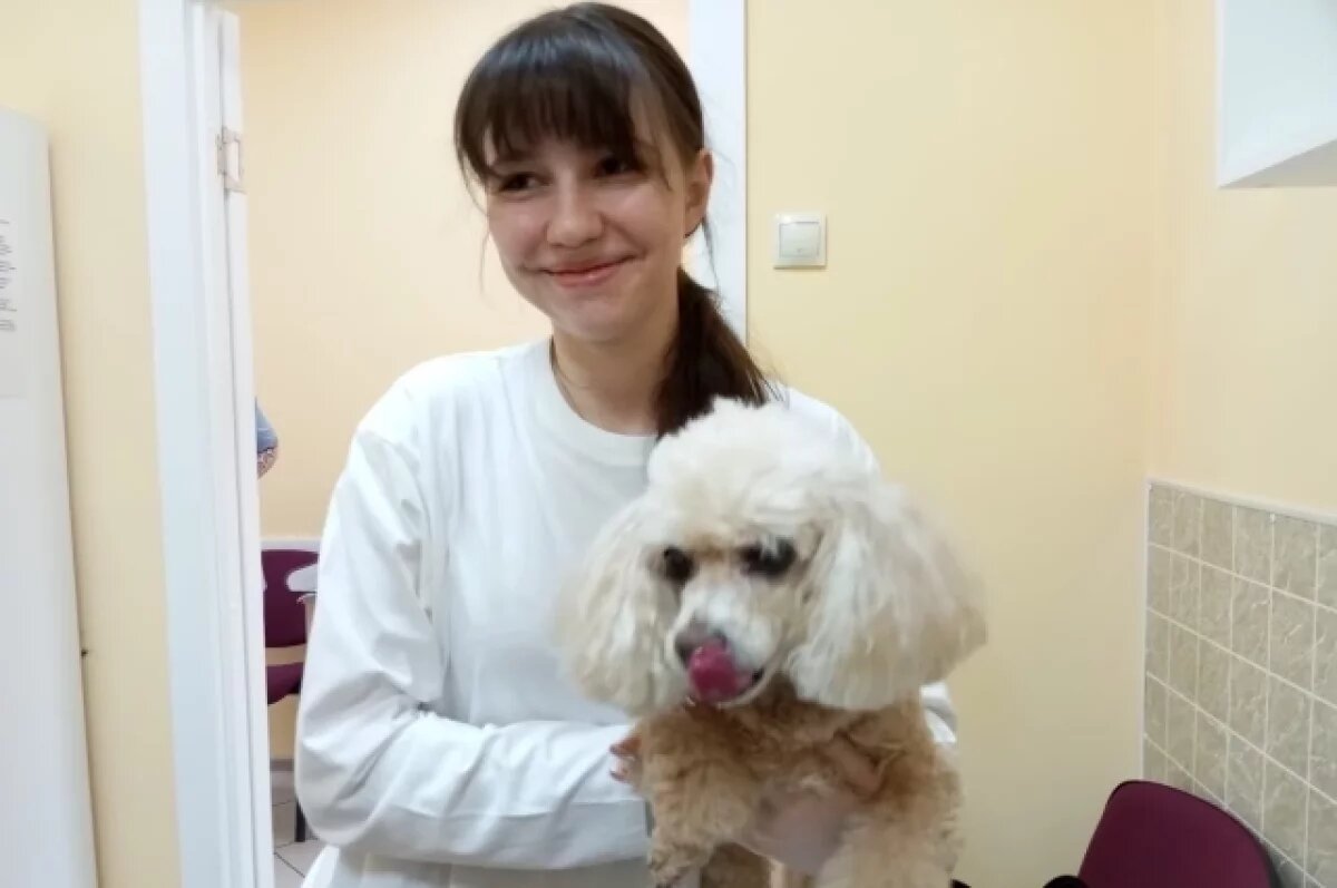    С любимым домашним питомцем.