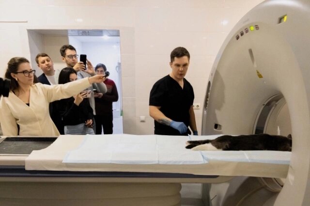    Ветеринарный томограф. Фото:  АиФ/ Сергей Верещак.