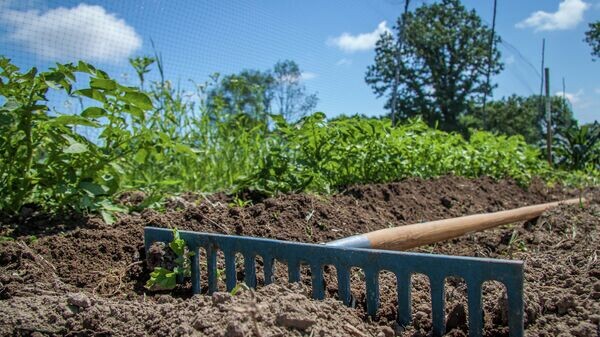   CC BY 2.0 / Tim Sackton / A Rake, at Rest